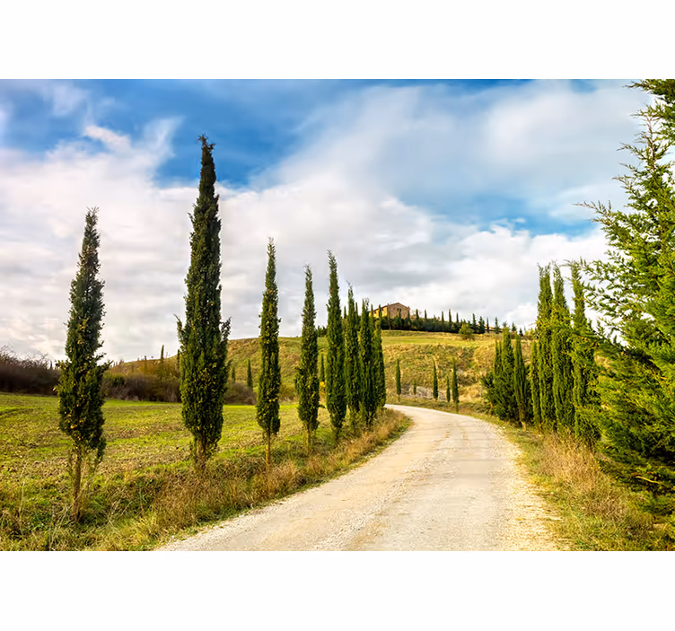 Uitzicht op het toscaanse platteland foto behang natuur - TenStickers