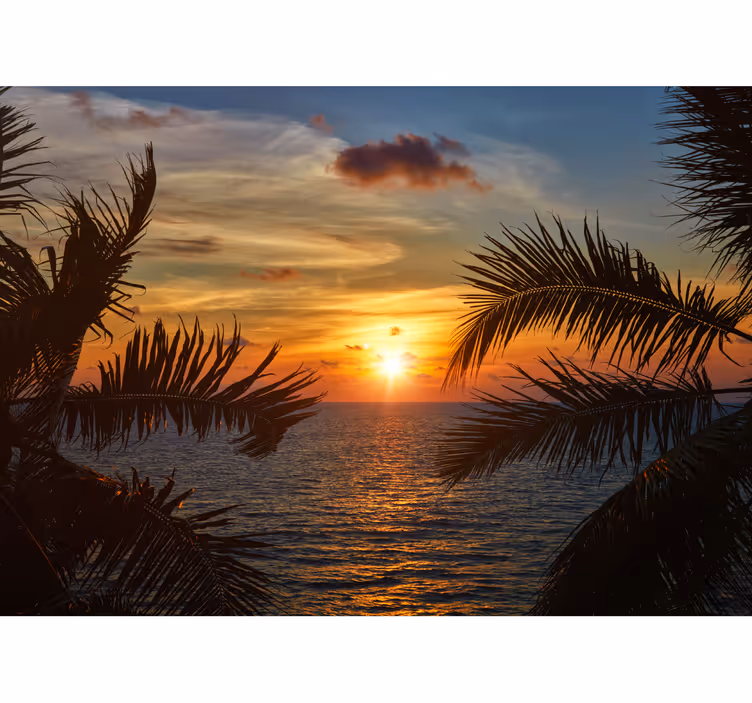 Fotobehang zee Golven en de zon - TenStickers