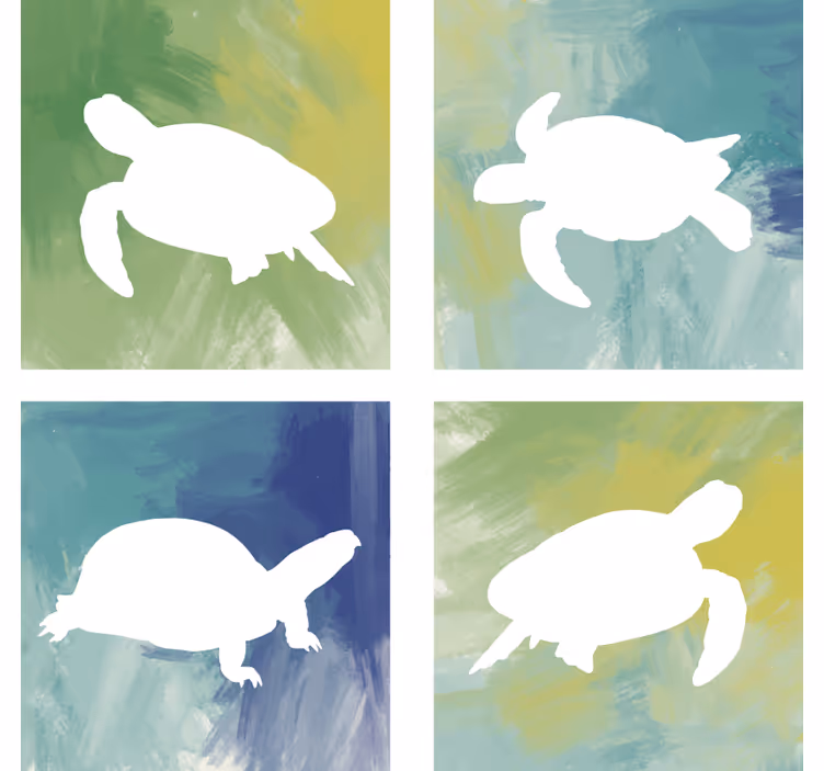 Enge onderzetters kleurige schildpad silhouetten - TenStickers