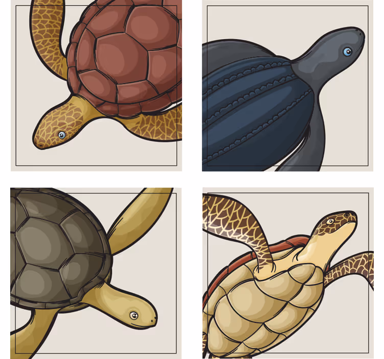 Enge onderzetters met kleurrijke schildpadillustraties - TenStickers