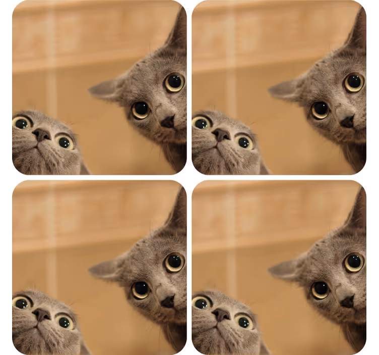 Nieuwsgierige kattengezichten enge onderzetters - TenStickers