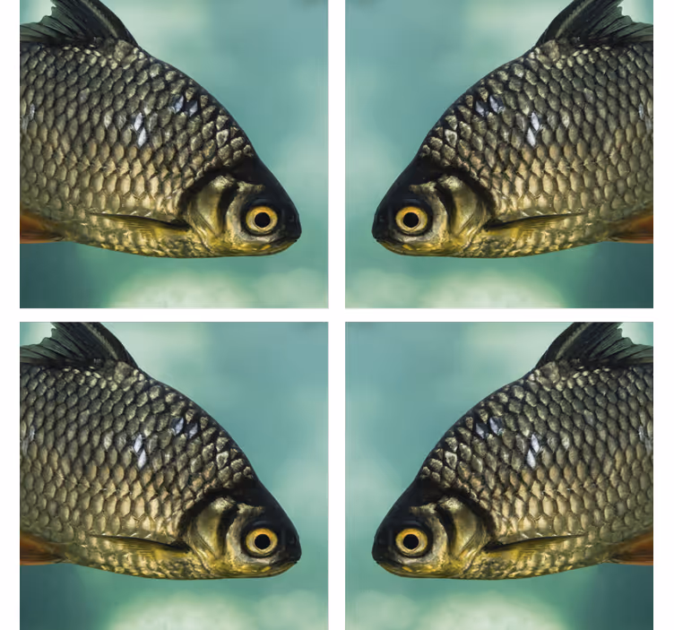 Enge onderzetters met realistische visafbeeldingen - TenStickers
