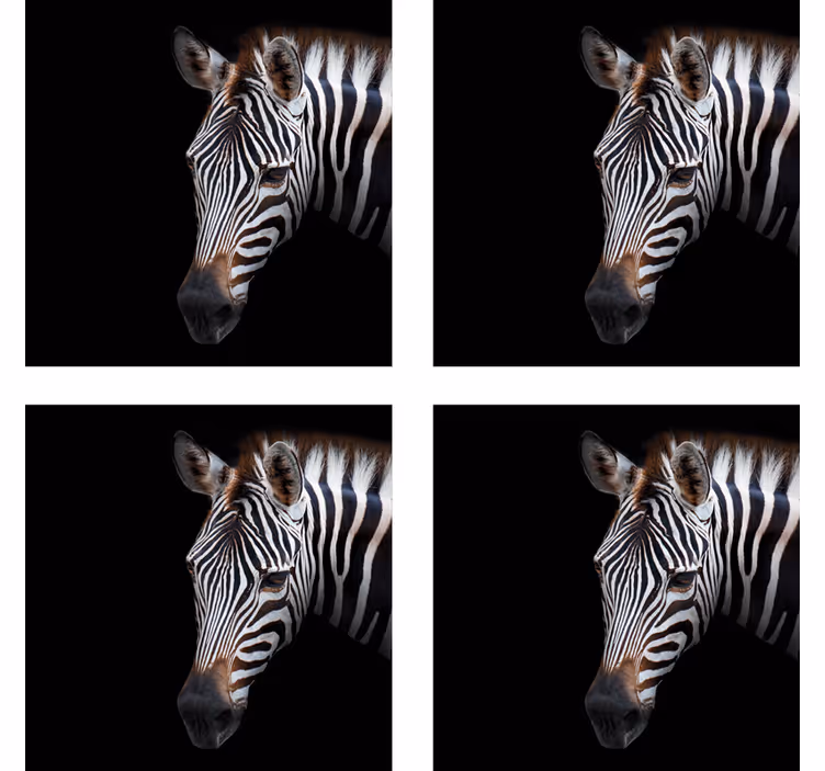 Moderne onderzetters met zebra hoofd illustratie - TenStickers