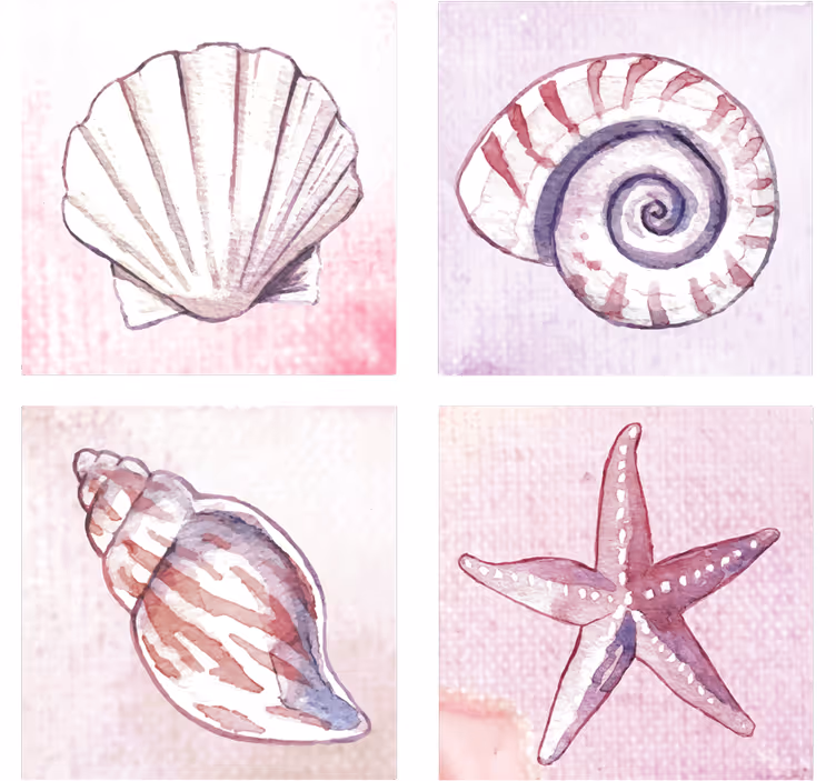 Onderzetters natuurlijke schelp waterverf - TenStickers