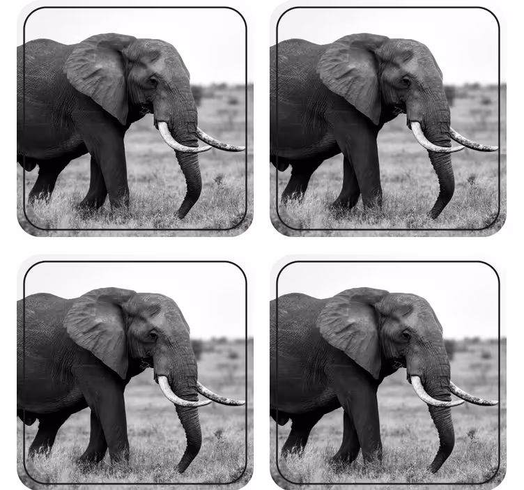Enge onderzetters olifanten silhouet patroon - TenStickers