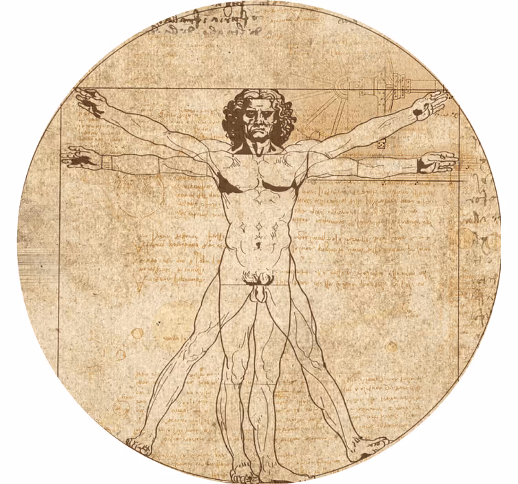 Moderne onderzetters vitruviaanse figuur illustratie - TenStickers