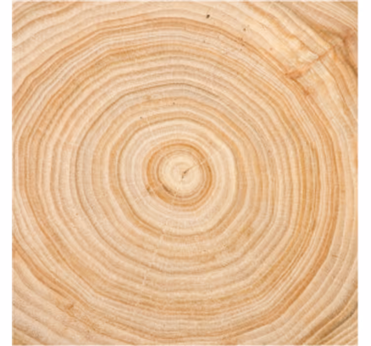 Onderzetters houten structuur cirkel - TenStickers