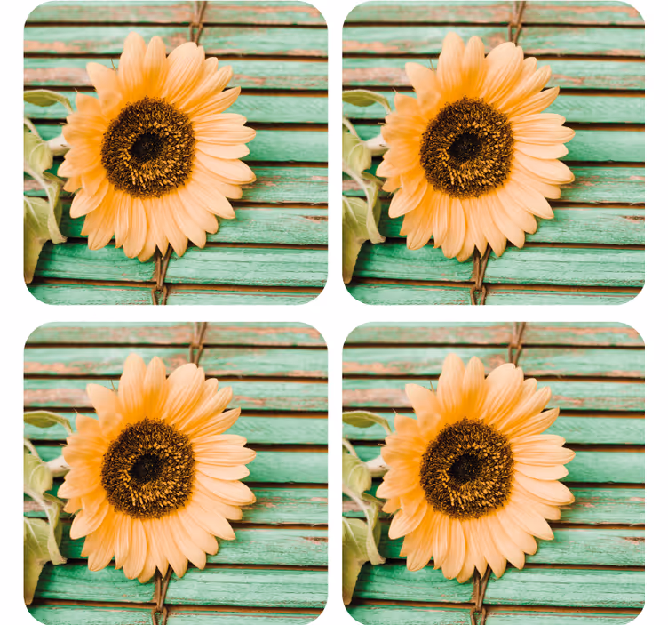 Moderne onderzetters zonnebloem met groene achtergrond - TenStickers