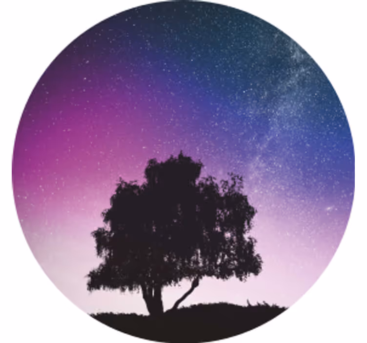 Moderne onderzetters sterrennacht boom - TenStickers