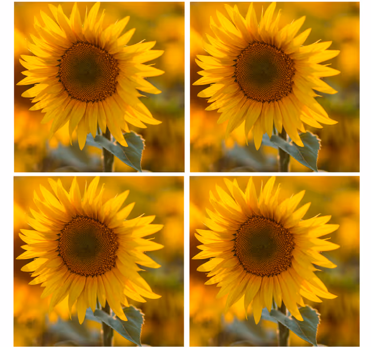 Moderne onderzetters stralende zonnebloem arrangement - TenStickers