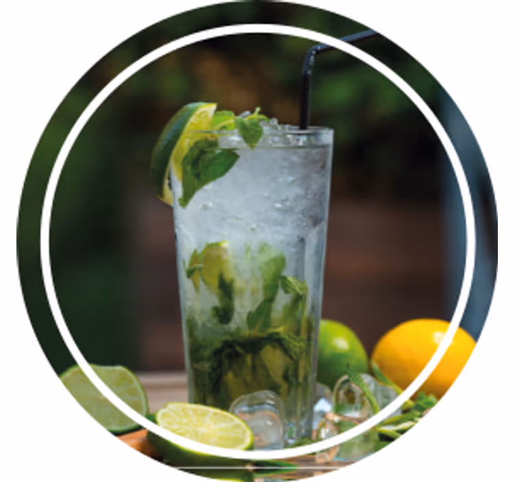 Moderne onderzetters verfrissend muntdrank - TenStickers