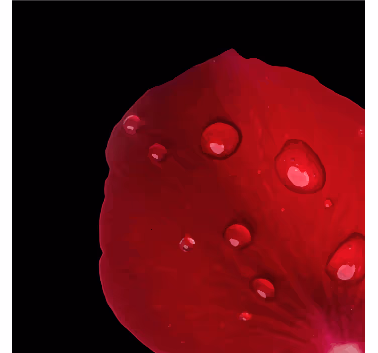 Onderzetters dewy rozenblaadje - TenStickers