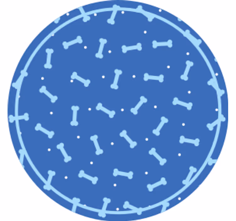 Onderzetters bone pattern circle - TenStickers