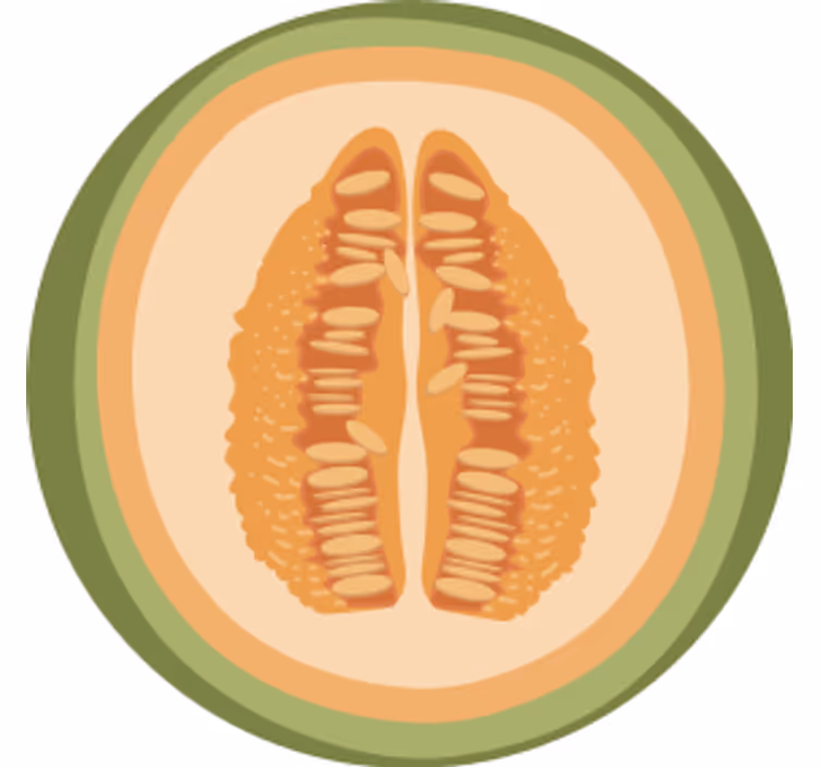 Enge onderzetters met fruit schijf motieven - TenStickers