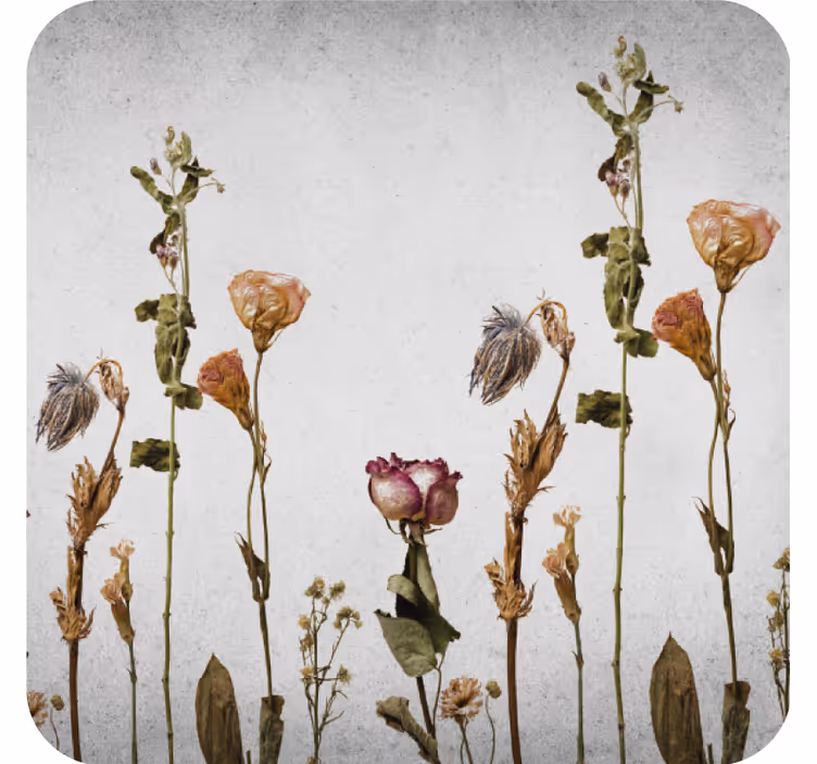 Onderzetters droogbloemen arrangement - TenStickers