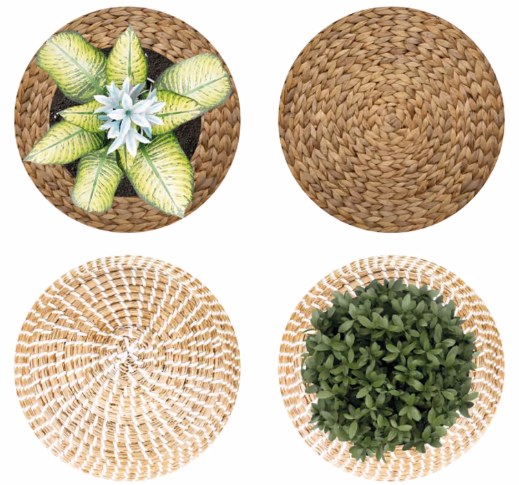 Planten rieten onderzetters - TenStickers