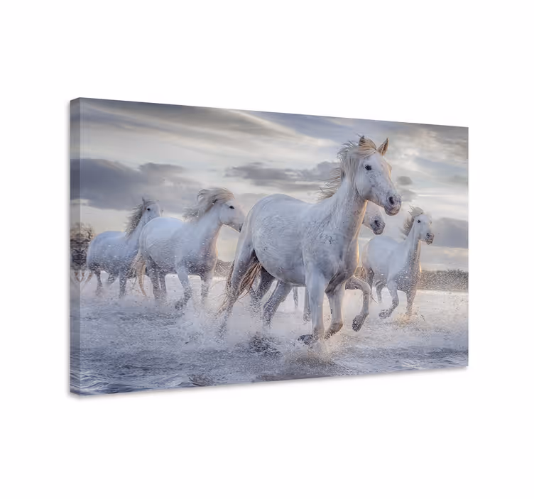 Paarden schilderij op canvas waterende paarden fotomuur - TenStickers