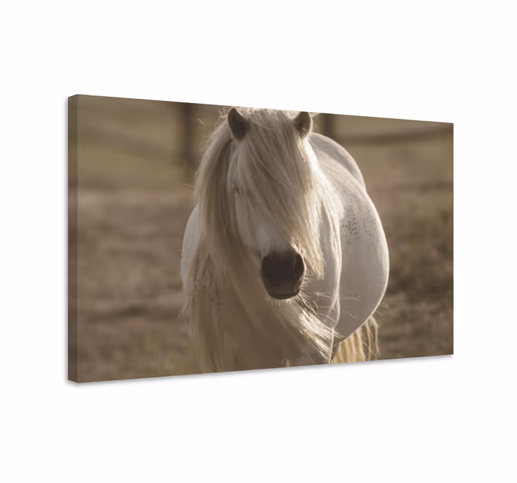 Paarden schilderij op canvas wit gezicht paard - TenStickers