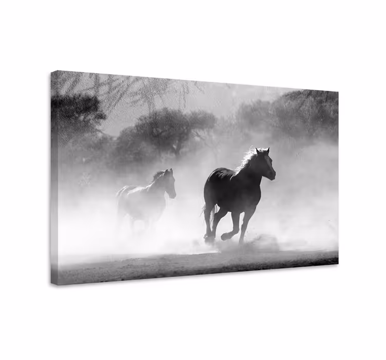 Paarden schilderij op canvas wit en zwart paard - TenStickers
