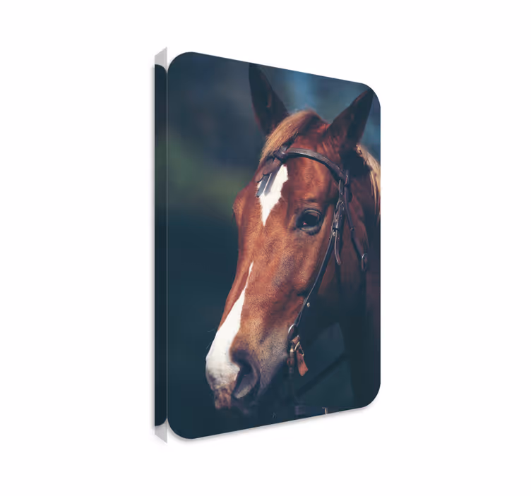 Paarden schilderij op canvas paardenhoofd - TenStickers