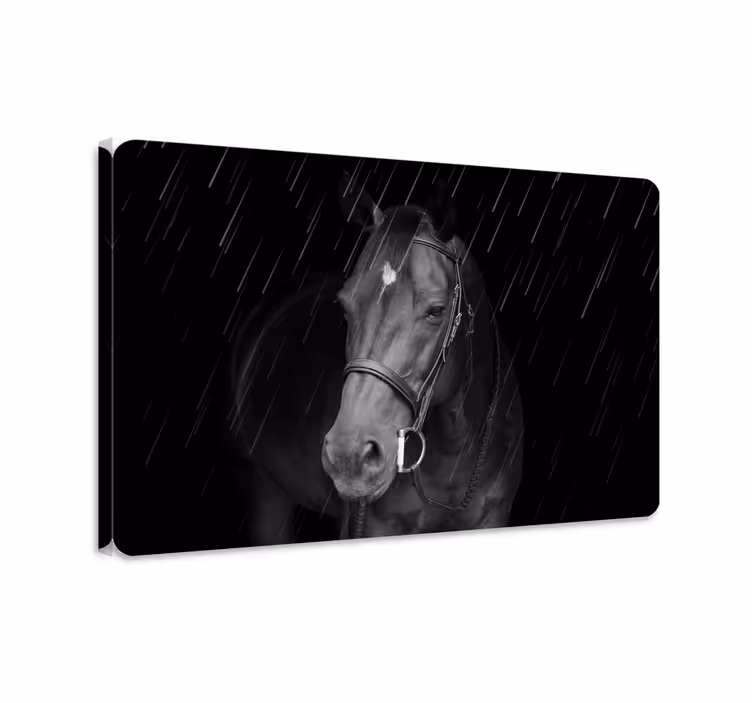 Paarden schilderij op canvas eervolle paard in de regen - TenStickers