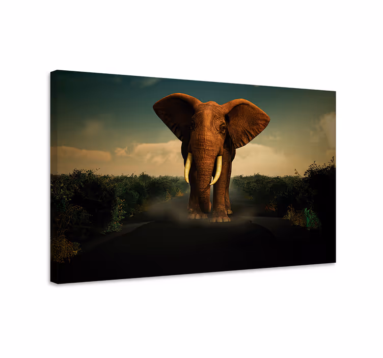 Canvas schilderij olifant op de weg - TenStickers