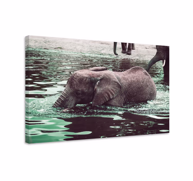 Canvas schilderij olifant drinkende babyolifanten - TenStickers