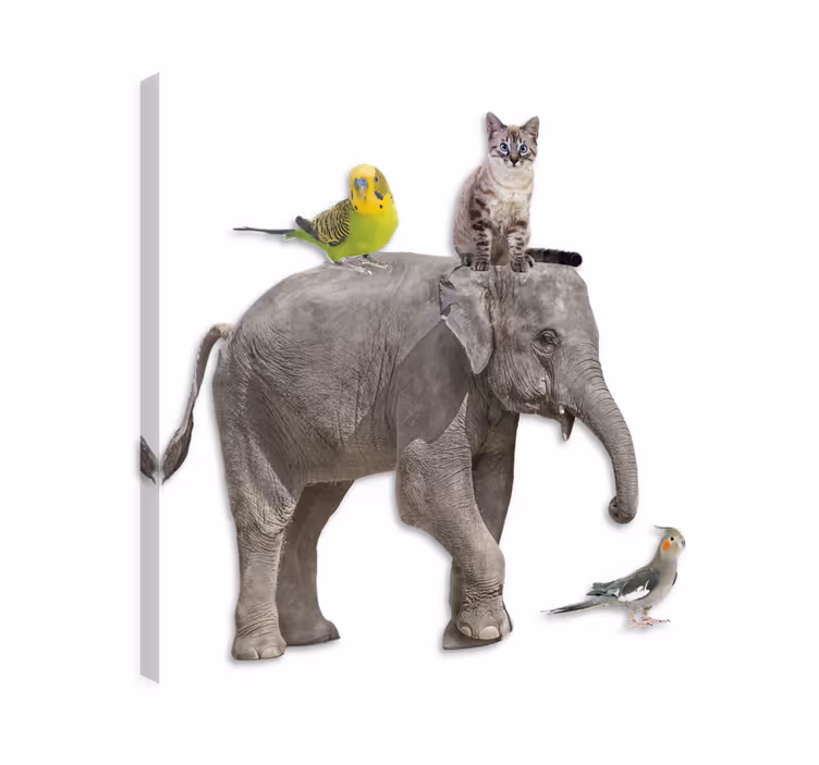 Canvas schilderij olifant en andere dieren - TenStickers