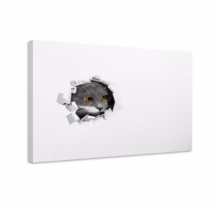 Canvas schilderij kat schattige kat - TenStickers