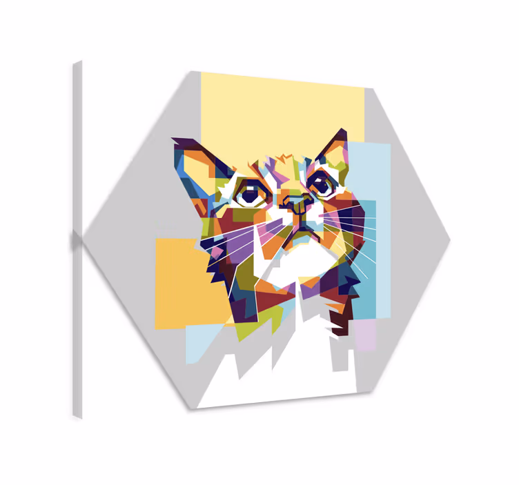 Canvas schilderij kat kleurvolle kat hoop - TenStickers