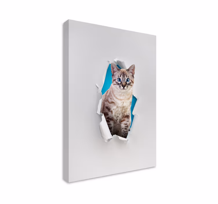 Canvas schilderij kat met een mooie kat - TenStickers