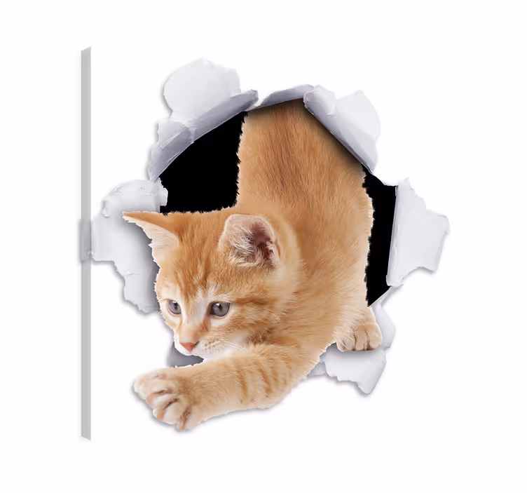 Canvas schilderij kat decoratieve muursticker kat - TenStickers