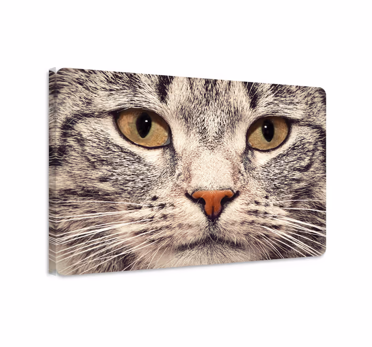 Canvas schilderij kat kattenkop laptop sticker - TenStickers