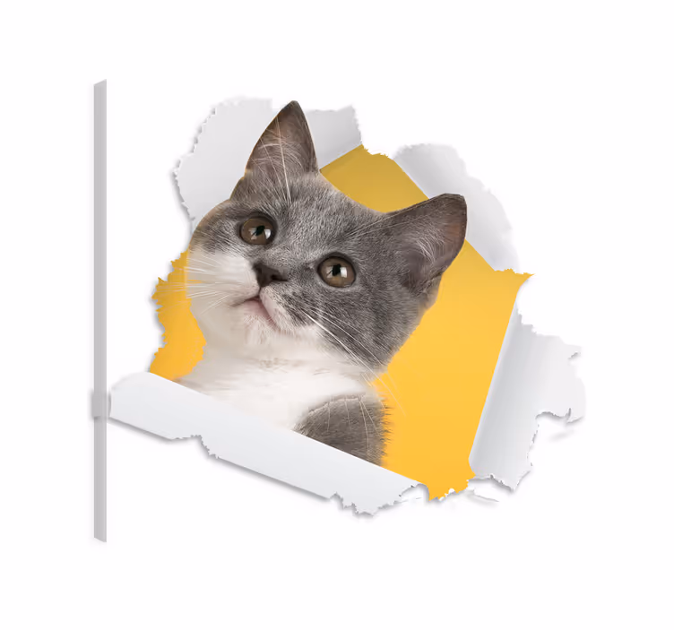 Canvas schilderij kat 3d kattensticker - TenStickers