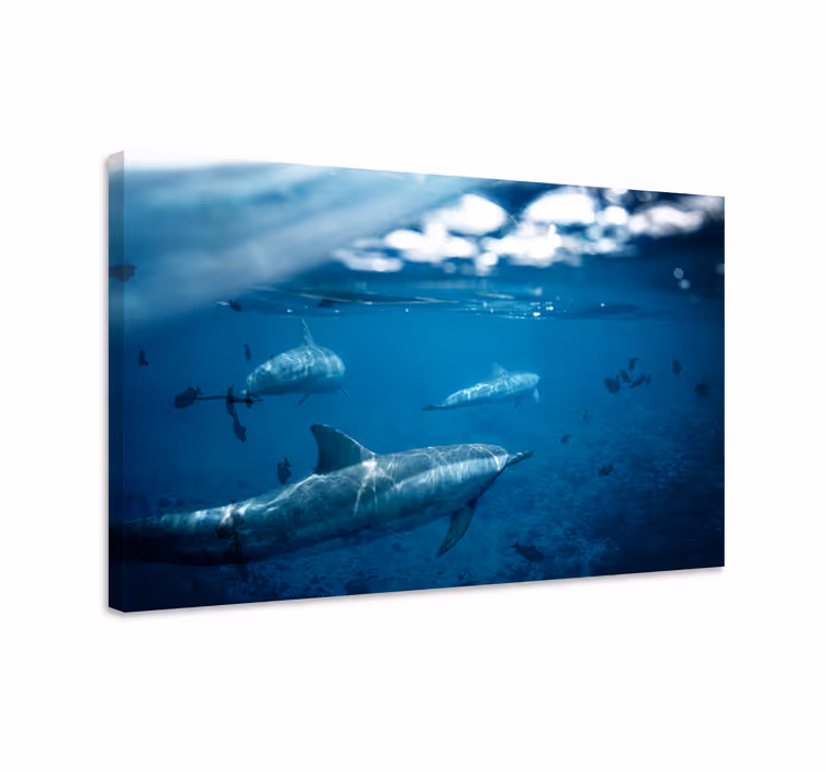 Canvas schilderij vis dolfijnen en vissen - TenStickers