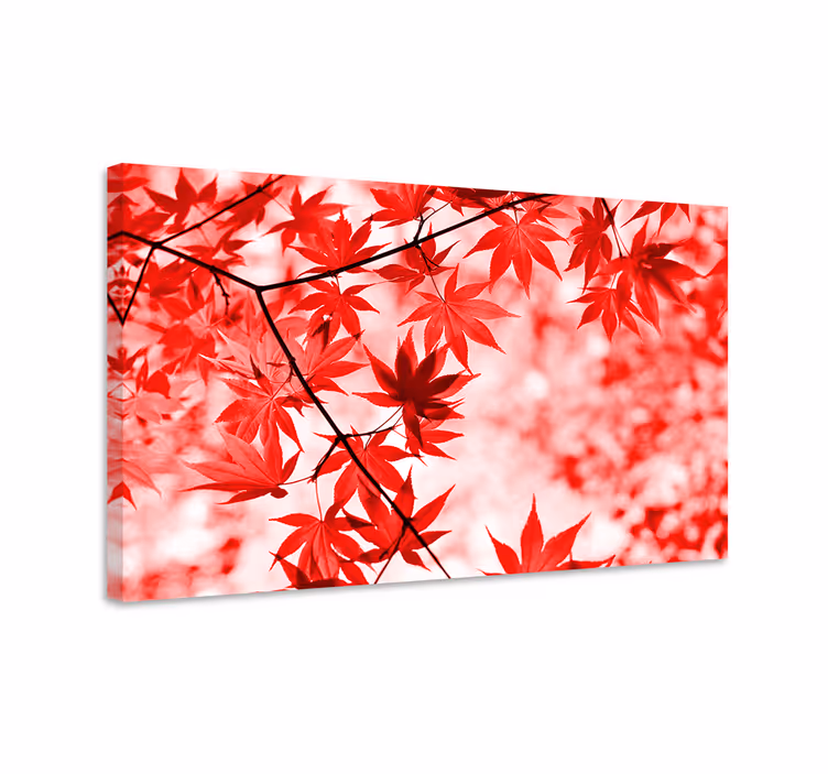 Felrode esdoornbladeren Canvas schilderij bloemen en planten - TenStickers