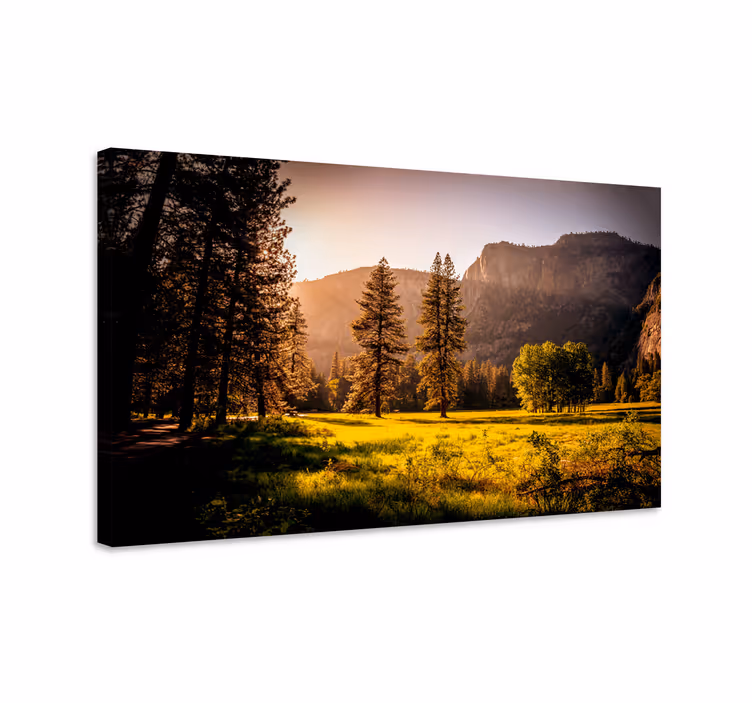 Canvas landschap gouden zonovergoten bos - TenStickers