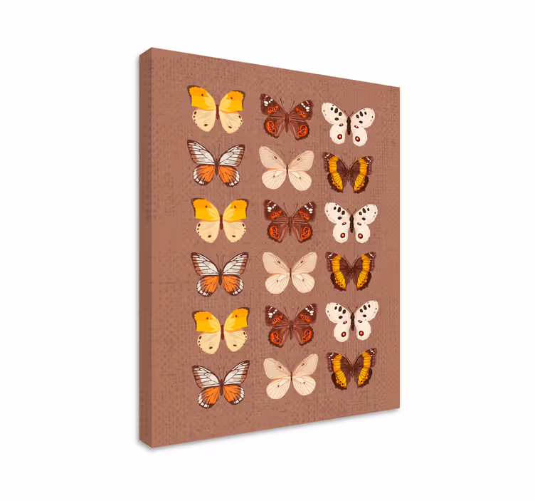 Canvas schilderij vlinder kleurrijke vlinderdisplay - TenStickers