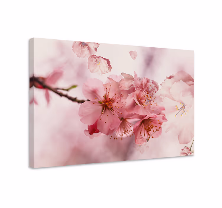 Canvas schilderij bloemen en planten kersenbloesem - TenStickers