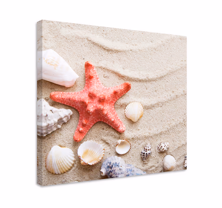 Canvas schilderij dieren Zeesterren en schelpen - TenStickers