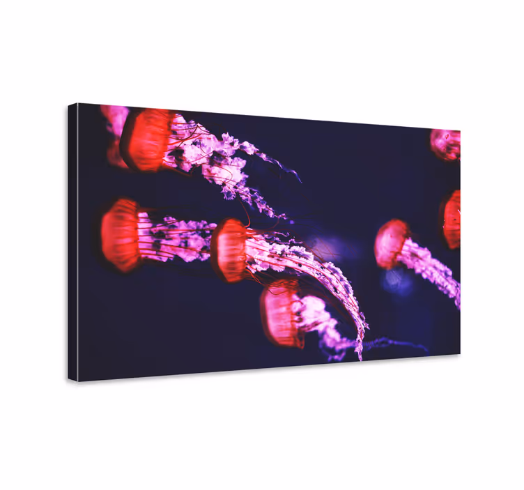 Canvas schilderij andere dieren Kwallen ontwerp - TenStickers