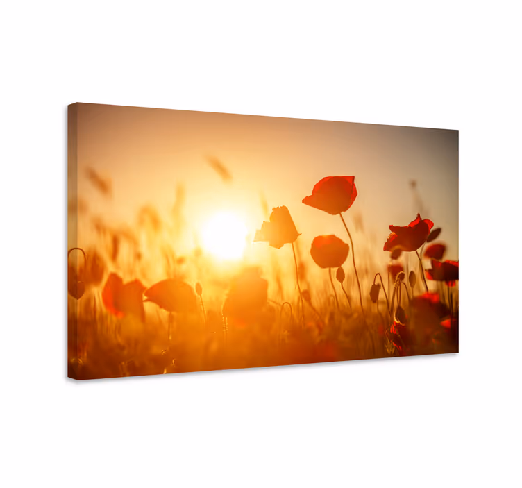 Canvas schilderij bloemen en planten klaproosveld gloed - TenStickers