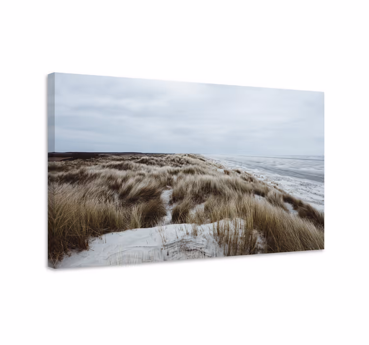 Canvas landschap kustduin uitzicht - TenStickers