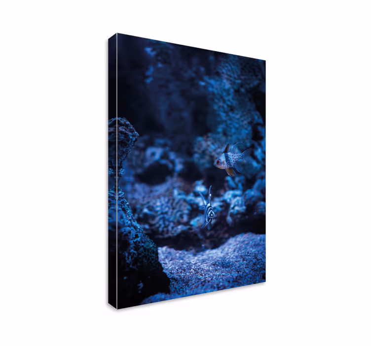 Onderwater scene Canvas schilderij vis - TenStickers