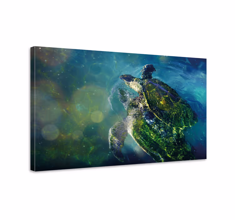 Canvas schilderij marine graceful zeeschildpad - TenStickers