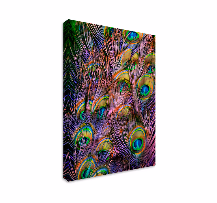 Canvas schilderij vogels Pauwenveer - TenStickers