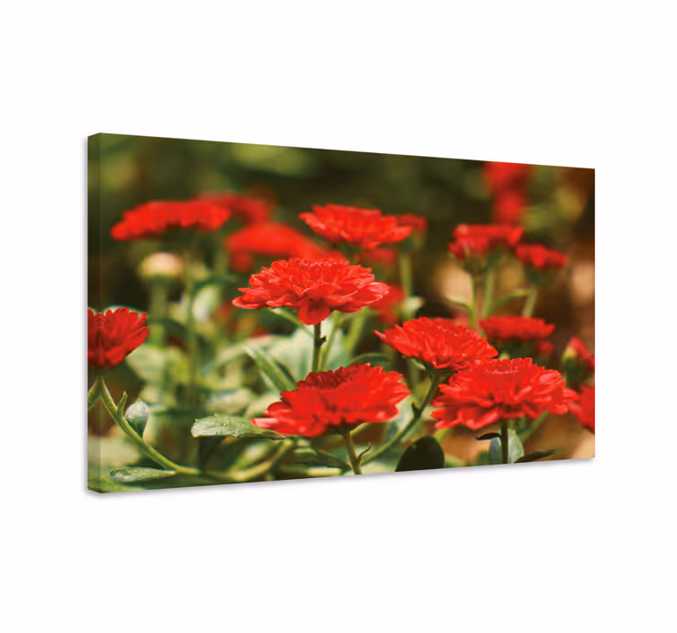 Canvas schilderij bloemen en planten rode bloemen - TenStickers
