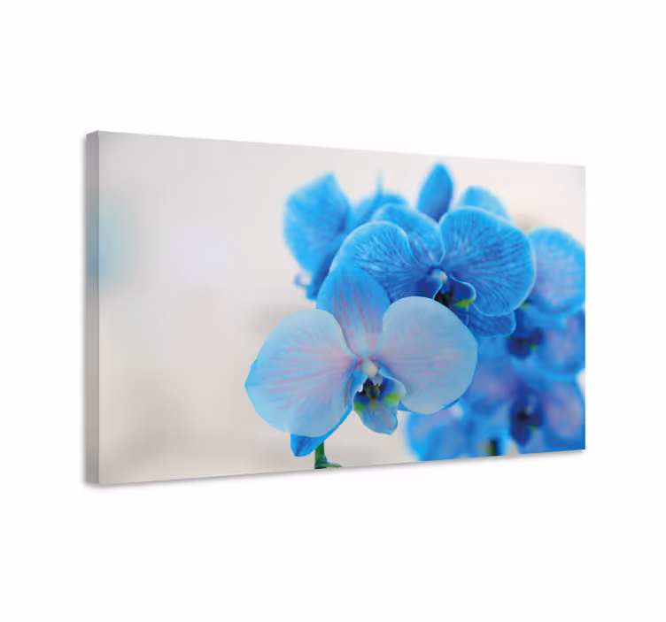 Canvas schilderij bloemen en planten blauwe orchideeën - TenStickers