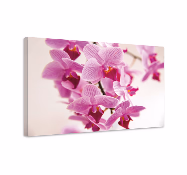 Canvas schilderij bloemen en planten orchideeën bloesems - TenStickers