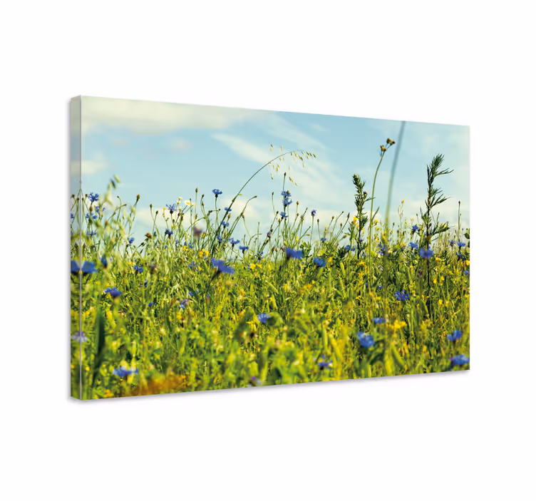Canvas schilderij bloemen en planten weide van wilde bloemen - TenStickers